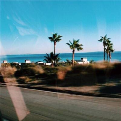 Bsport·体育截图