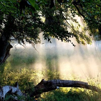 博鱼·体育下载入口截图