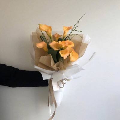 BOB博鱼·体育官网入口