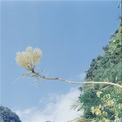 星空无限官方入口