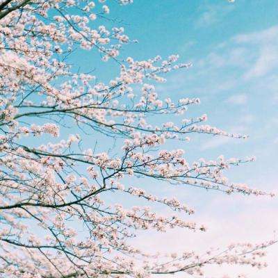 AG官方网站下载